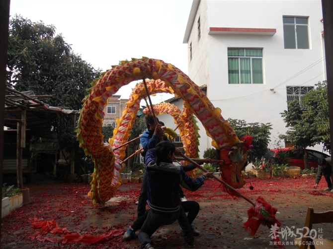 龙年初一莲花舞龙舞狮拜年掠影888 / 作者:麒麟玉 / 帖子ID:8990