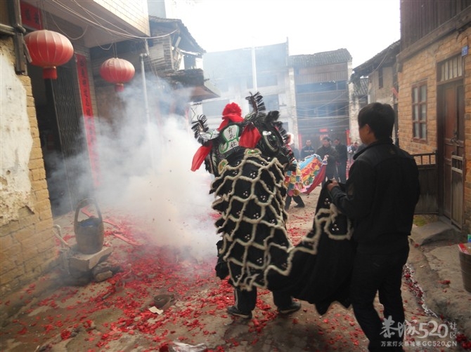 龙年初一莲花舞龙舞狮拜年掠影964 / 作者:麒麟玉 / 帖子ID:8990