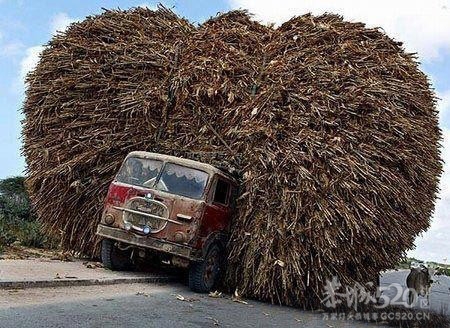 游阳朔西街125 / 作者:我不懂你 / 帖子ID:8930
