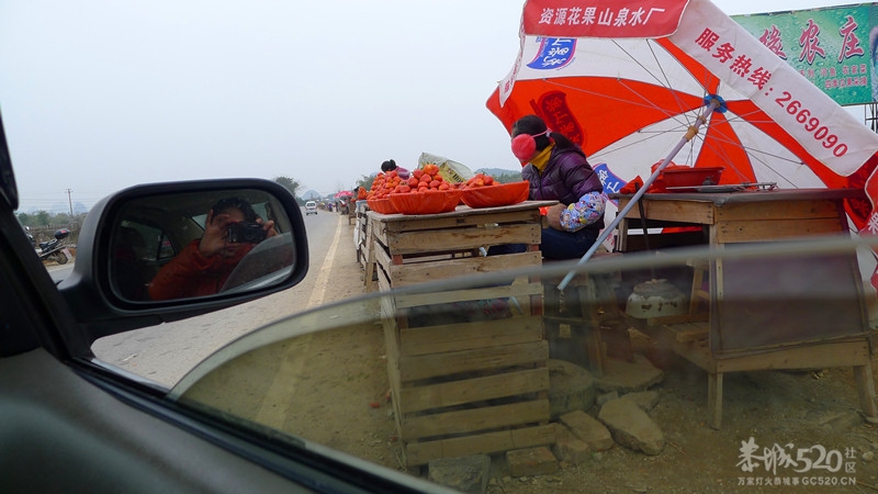 草莓  你们想吃吗？？？998 / 作者:躲在墙上的幸福 / 帖子ID:9020