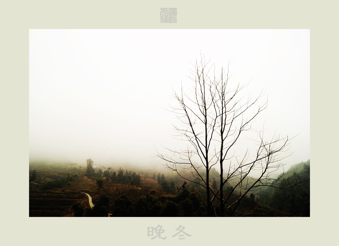 晚冬441 / 作者:195 / 帖子ID:9060