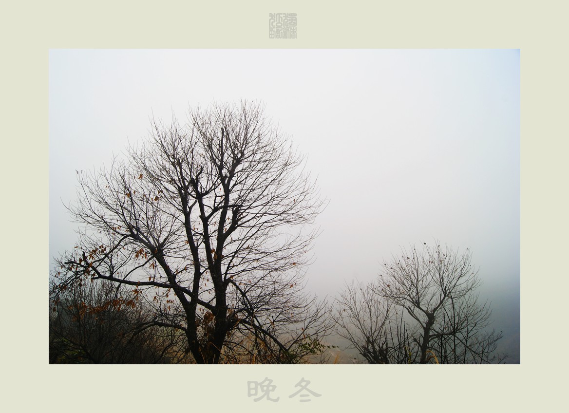 晚冬720 / 作者:195 / 帖子ID:9060
