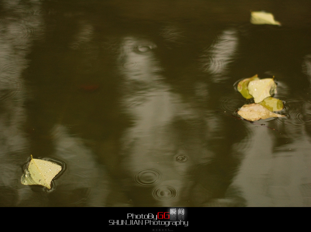 【PhotoBy GG、】 50mm · 随拍729 / 作者:小兔子 / 帖子ID:9155
