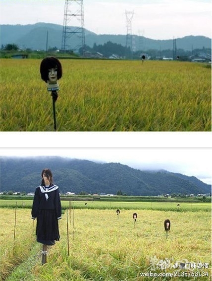 日本稻草人.. 吓死的不是麻雀，是人！！900 / 作者:请叫我宅男先生 / 帖子ID:9180