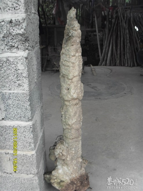 石头记11 / 作者:Kiki / 帖子ID:9288