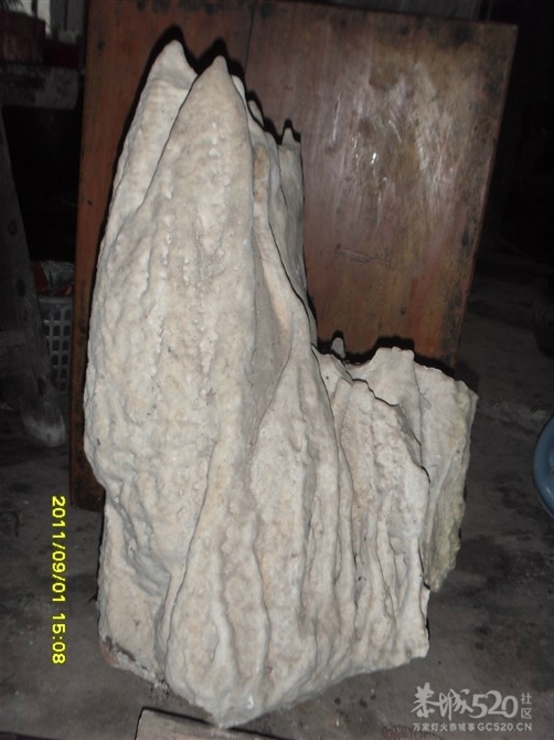 石头记1463 / 作者:Kiki / 帖子ID:9288