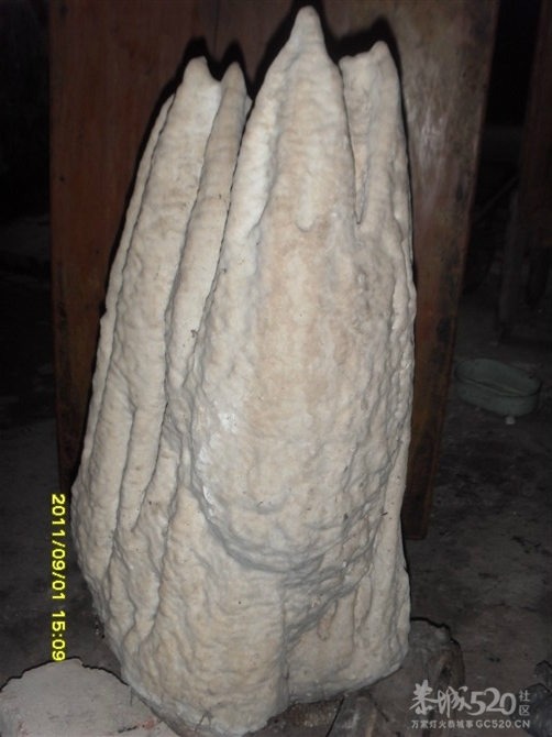 石头记1780 / 作者:Kiki / 帖子ID:9288