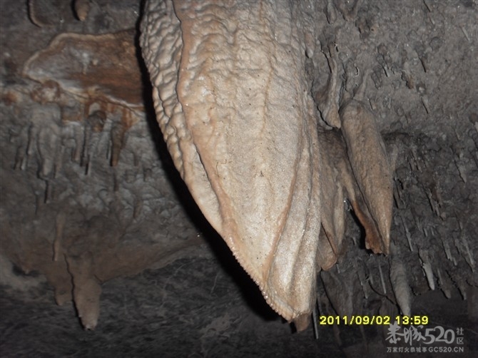 石头记1487 / 作者:Kiki / 帖子ID:9288