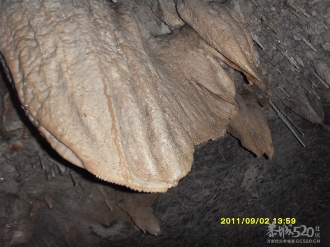 石头记1600 / 作者:Kiki / 帖子ID:9288