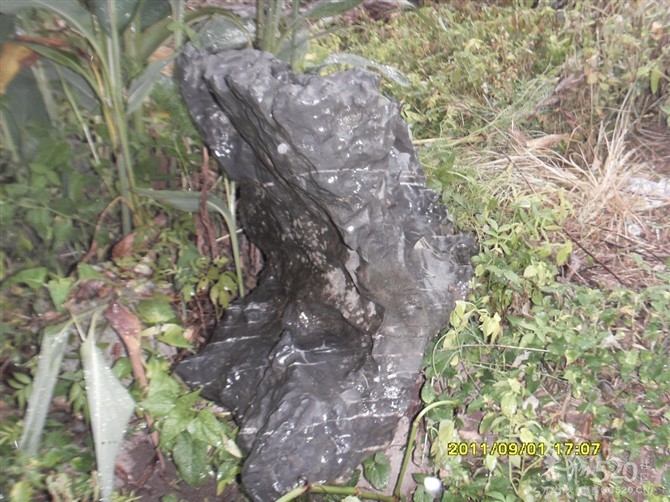 石头记2552 / 作者:Kiki / 帖子ID:9289