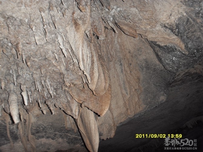 石头记2395 / 作者:Kiki / 帖子ID:9289