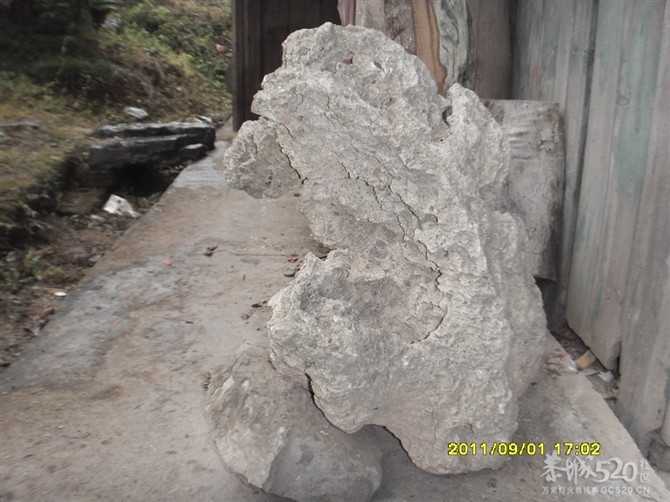 石头记2475 / 作者:Kiki / 帖子ID:9289