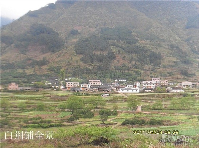 带你走进水滨村落798 / 作者:Kiki / 帖子ID:9293