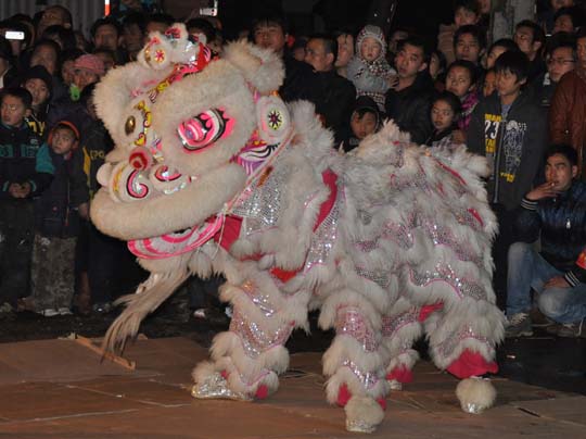 龙虎乡元宵节的舞狮、烟花表演772 / 作者:新乐文化传媒 / 帖子ID:9317