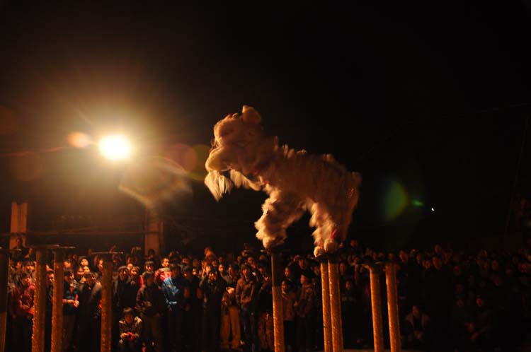 龙虎乡元宵节的舞狮、烟花表演477 / 作者:新乐文化传媒 / 帖子ID:9317