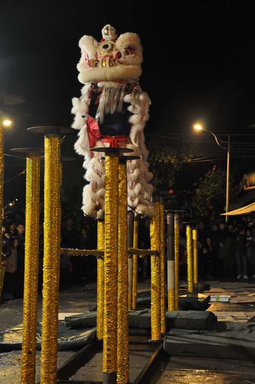 龙虎乡元宵节的舞狮、烟花表演547 / 作者:新乐文化传媒 / 帖子ID:9317