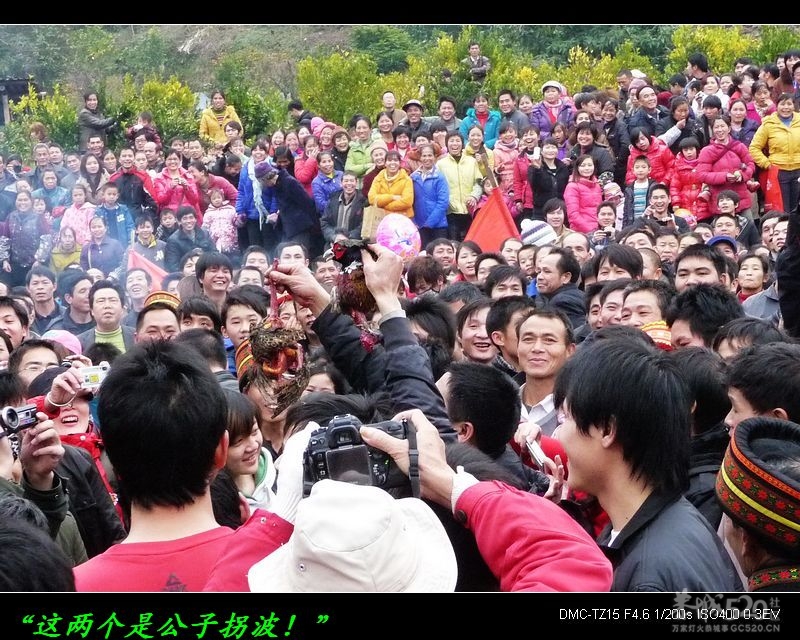 爱好野味的记得以后到石口抓“野鸡”噢！981 / 作者:平安大叔 / 帖子ID:9319