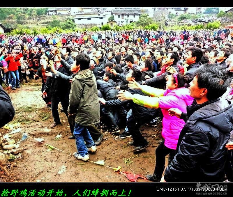 爱好野味的记得以后到石口抓“野鸡”噢！766 / 作者:平安大叔 / 帖子ID:9319