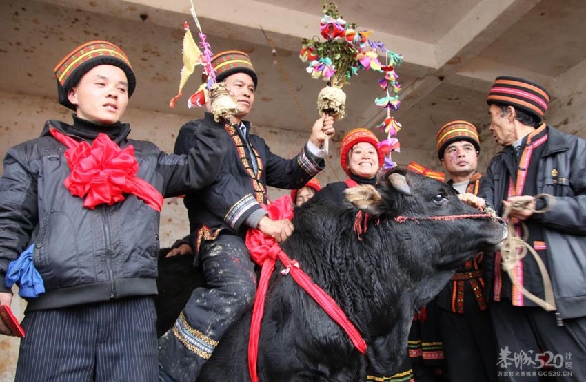 人民网：延承了700多年的恭城瑶民花炮会期92 / 作者:翠峰紫阳 / 帖子ID:9413
