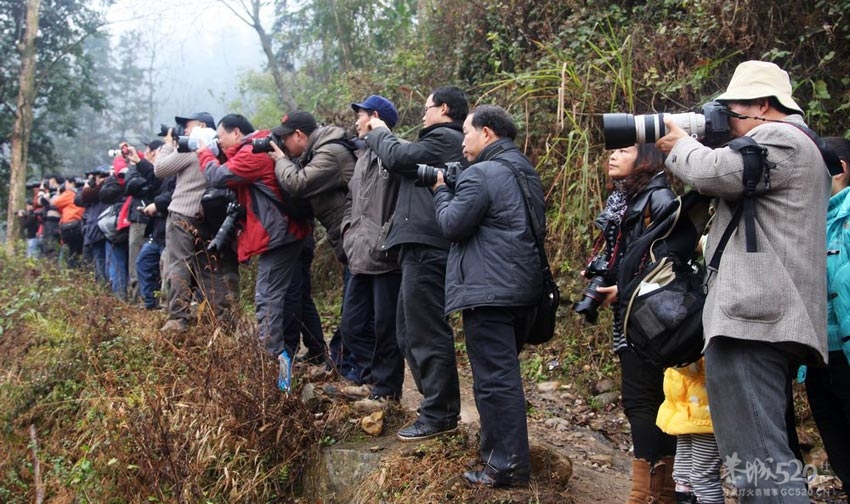 人民网：延承了700多年的恭城瑶民花炮会期780 / 作者:翠峰紫阳 / 帖子ID:9413