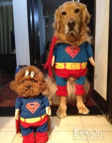 有没有那么一个人，陪你一起穿情侣装呢?713 / 作者:请叫我宅男先生 / 帖子ID:9466