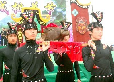八百张傩面摆阵 2007年第五届恭城桃花节瑶文化唱主角996 / 作者:火星娃崽 / 帖子ID:9504
