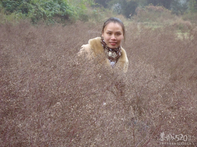 过年回恭城了滴328 / 作者:淘气蜻蜓 / 帖子ID:9664