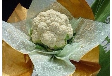 情人节快到了，送TA什么呢？300 / 作者:扯卵谈 / 帖子ID:9722