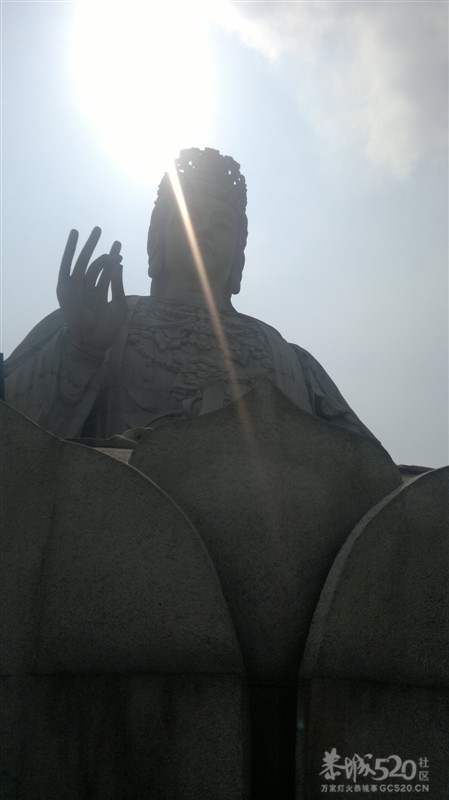 佛光普照979 / 作者:大鸟 / 帖子ID:9752