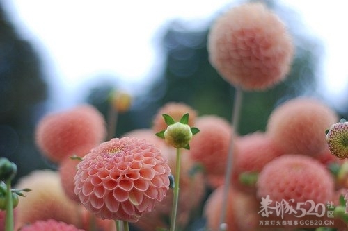 励志金句，让你迅速提升自己的价值！436 / 作者:尘封网事 / 帖子ID:9821