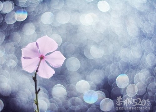 励志金句，让你迅速提升自己的价值！511 / 作者:尘封网事 / 帖子ID:9821