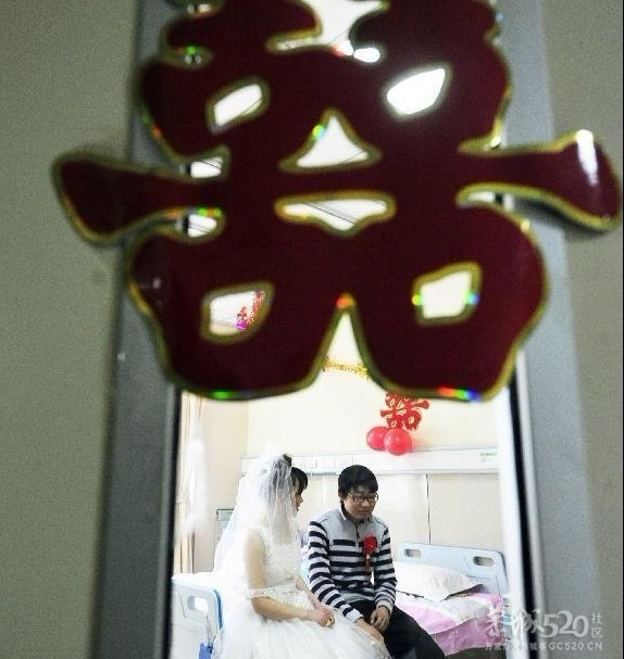 病房里的情人节婚礼82 / 作者:习惯有你 / 帖子ID:9840