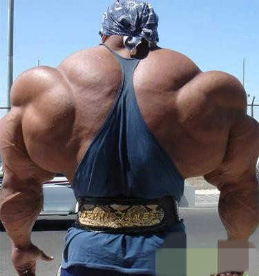 几位哥 你们是开挂升级到这样的吗？892 / 作者:237272866 / 帖子ID:9874