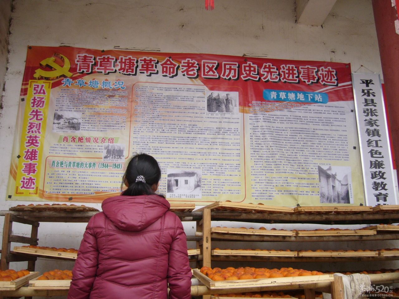 平乐县青草塘一游588 / 作者:罗少爷 / 帖子ID:9880