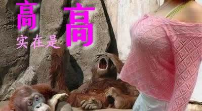我与洋妞的合影＜看了请回复＞275 / 作者:平安大叔 / 帖子ID:9636
