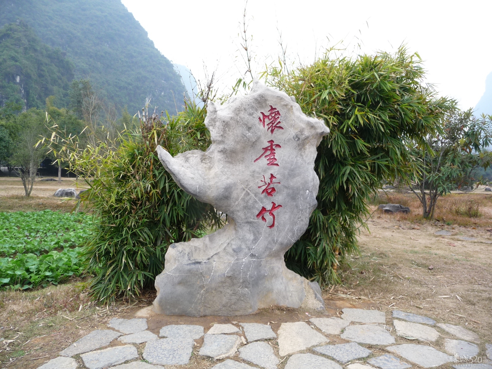 阳溯大榕树2012年2月12日45 / 作者:我不懂你 / 帖子ID:9961
