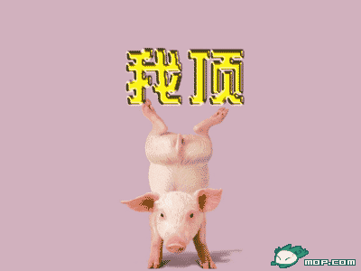 移动过年送的大米和油都是垃圾146 / 作者:打倒小日本 / 帖子ID:10142