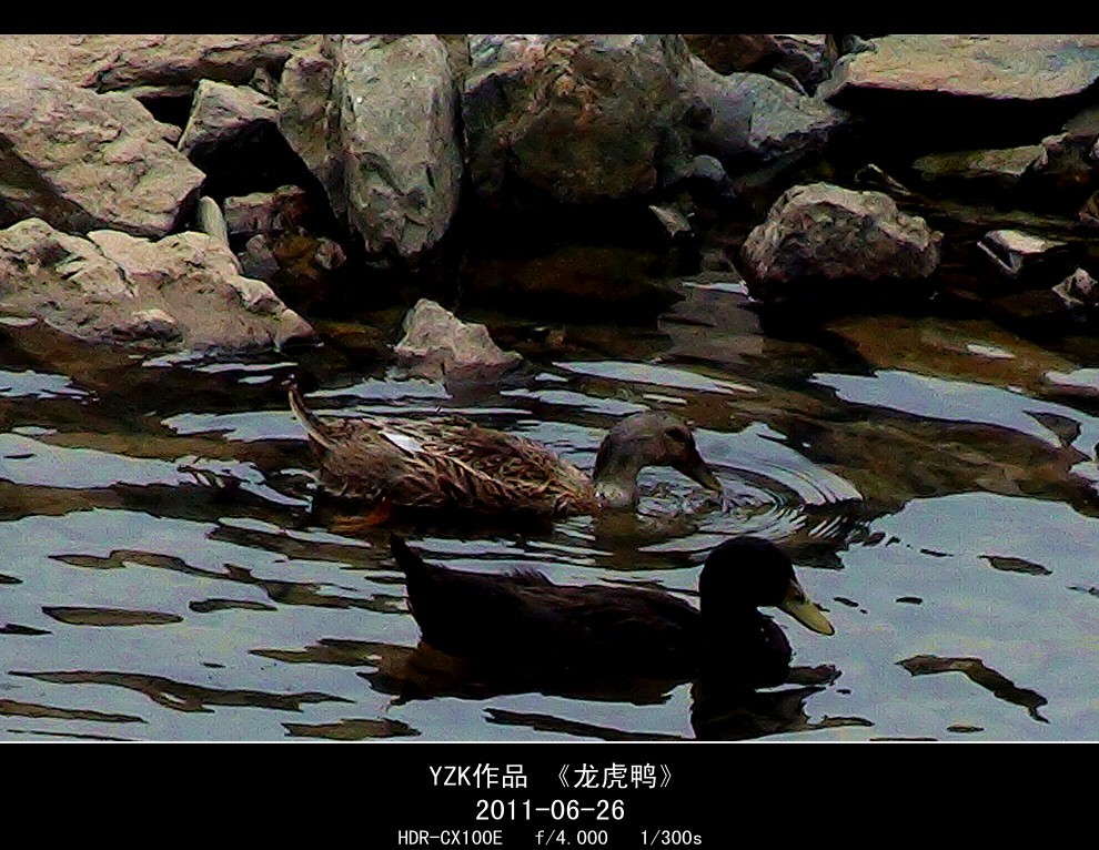 晒晒“龙虎仙境”903 / 作者:柚子壳※ / 帖子ID:10176