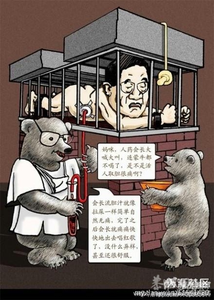 美图欣赏842 / 作者:完美夏天 / 帖子ID:10190