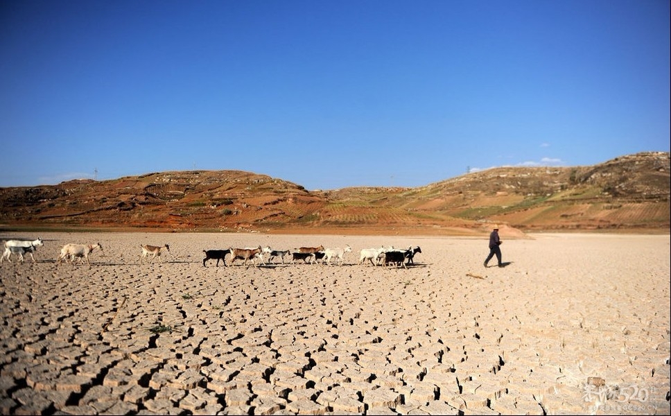 云南“三年连旱” 多座水库干涸943 / 作者:小雨点 / 帖子ID:10238