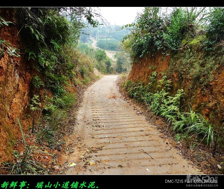 烟雨中的瑶乡。499 / 作者:平安大叔 / 帖子ID:10251