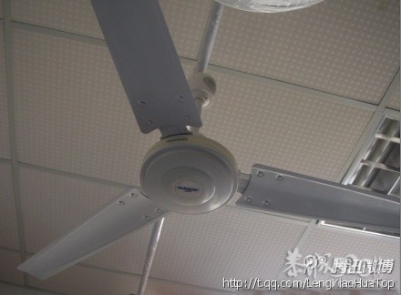 一个邪恶的念头110 / 作者:大鸟 / 帖子ID:10366