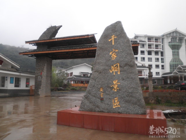 千家峒551 / 作者:金网 / 帖子ID:10419