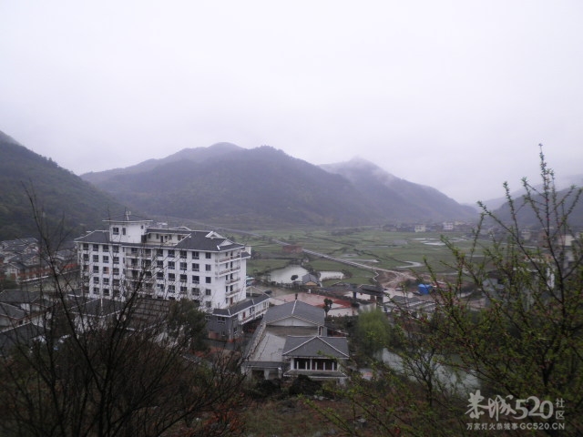 千家峒5 / 作者:金网 / 帖子ID:10419