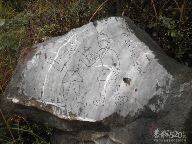 千家峒538 / 作者:金网 / 帖子ID:10419