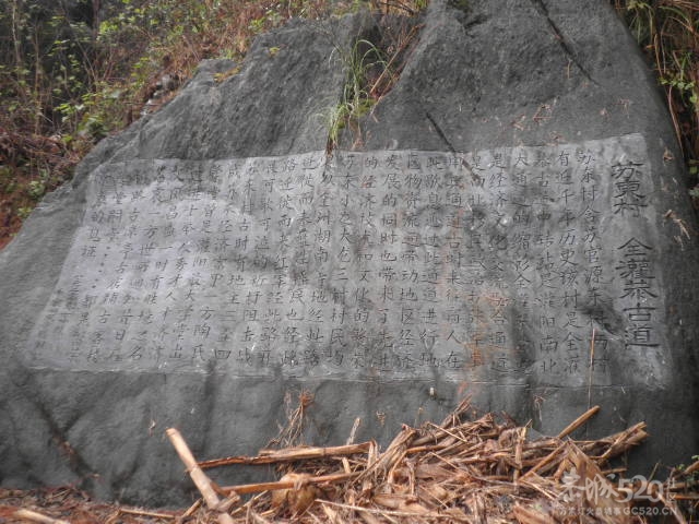 千家峒656 / 作者:金网 / 帖子ID:10419