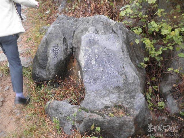 千家峒218 / 作者:金网 / 帖子ID:10419