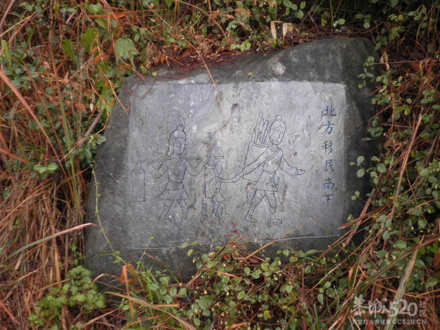 千家峒874 / 作者:金网 / 帖子ID:10419