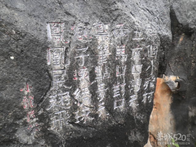 千家峒860 / 作者:金网 / 帖子ID:10419