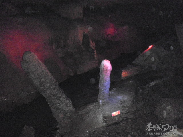 千家峒468 / 作者:金网 / 帖子ID:10419